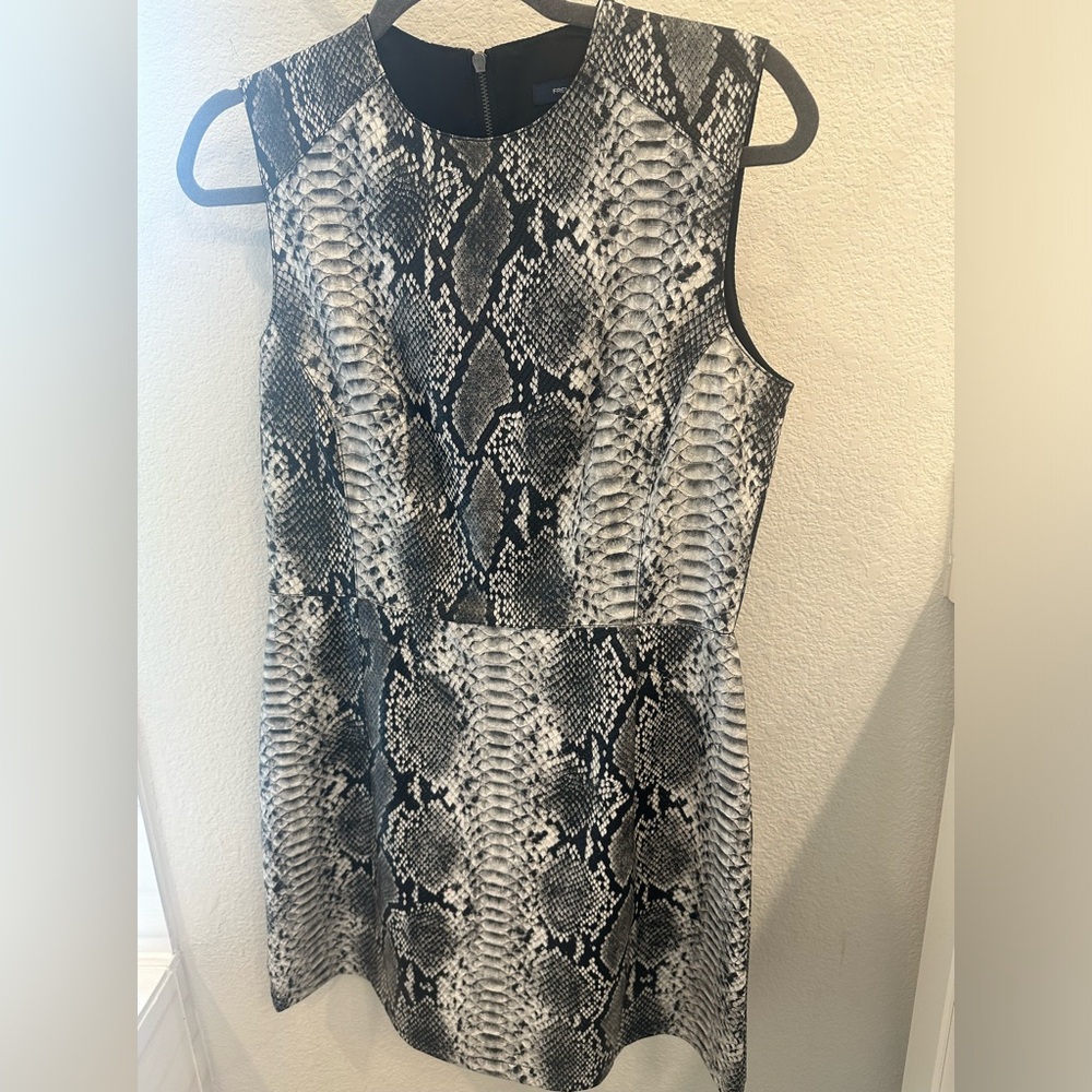 French Connection Dress